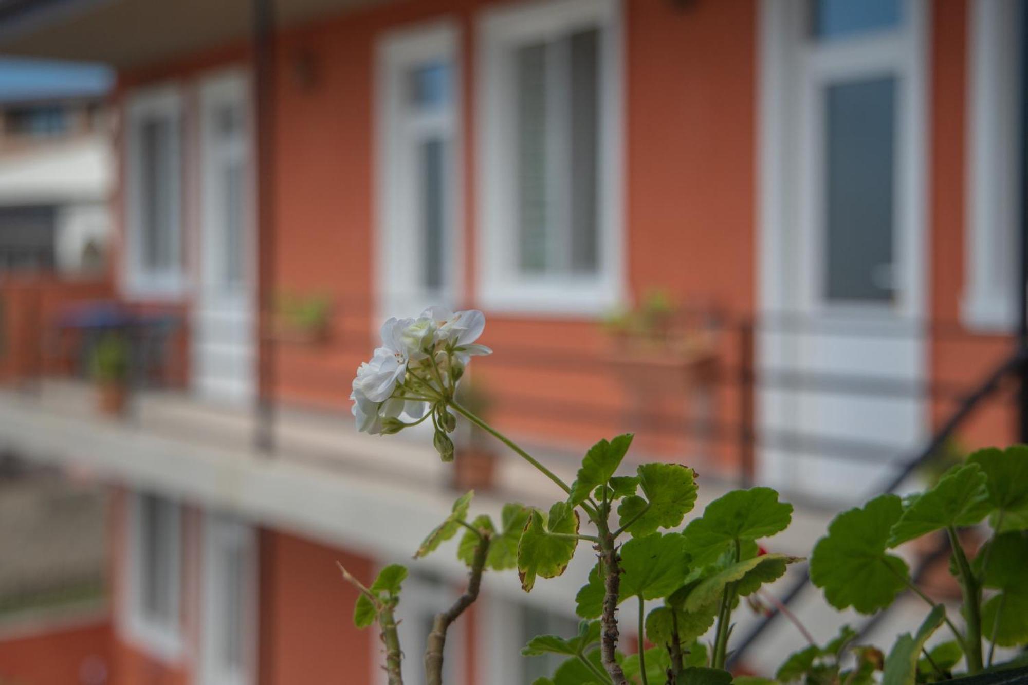 Pavillion Guest House Batumi Exterior photo